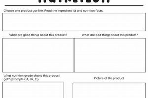 Free Nutrition Worksheets for High School Students (PDF) Best Schools in America: Top Public & Private Options Free Nutrition Worksheets for High School Students (PDF) | Best Schools in America: Top Public & Private Options
