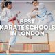 Find the Best Karate Schools Near You | Best Schools in America: Top Public & Private Options