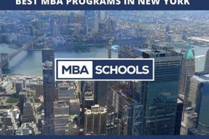 Top Best MBA Schools in New York City Guide Best Schools in America: Top Public & Private Options Top Best MBA Schools in New York City Guide | Best Schools in America: Top Public & Private Options