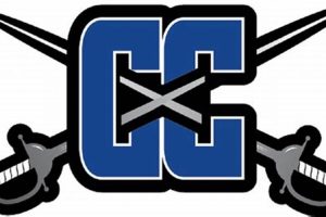 Top Capital City High School Football Teams Best Schools in America: Top Public & Private Options Top Capital City High School Football Teams | Best Schools in America: Top Public & Private Options