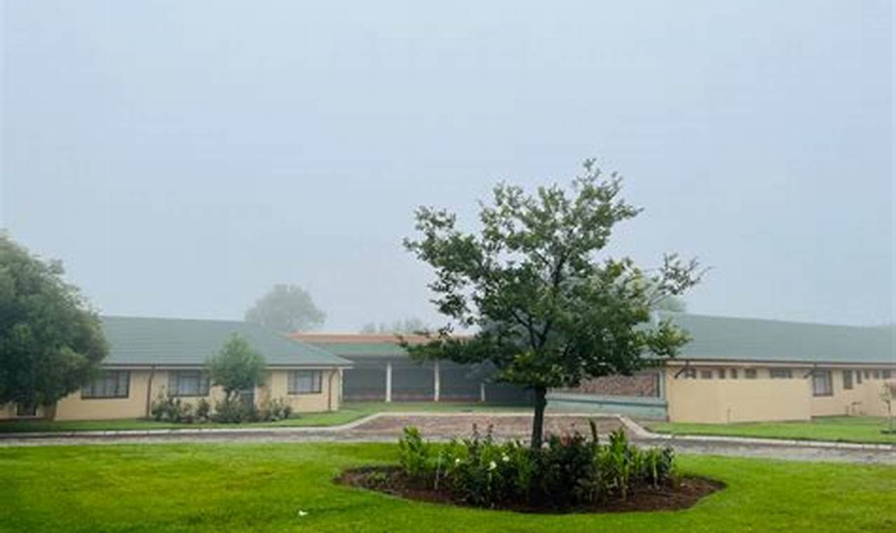 Stanly County Schools Lunch Menu: Nutritious & Delicious Best Schools in America: Top Public & Private Options Stanly County Schools Lunch Menu: Nutritious & Delicious | Best Schools in America: Top Public & Private Options
