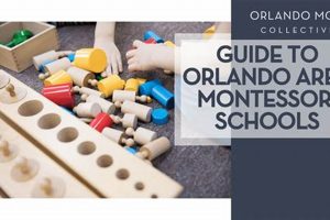Top-Rated Montessori Schools in Orlando, FL Best Schools in America: Top Public & Private Options Top-Rated Montessori Schools in Orlando, FL | Best Schools in America: Top Public & Private Options