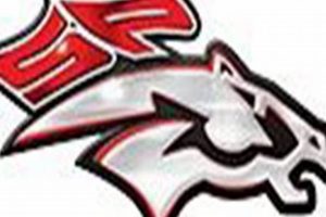 South Pointe High School: A Football Legacy Best Schools in America: Top Public & Private Options South Pointe High School: A Football Legacy | Best Schools in America: Top Public & Private Options