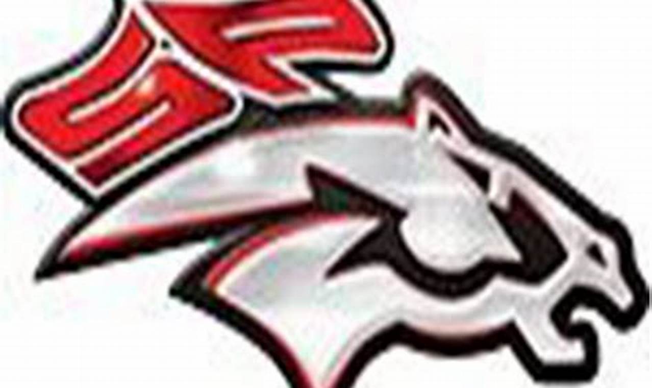 South Pointe High School: A Football Legacy Best Schools in America: Top Public & Private Options South Pointe High School: A Football Legacy | Best Schools in America: Top Public & Private Options