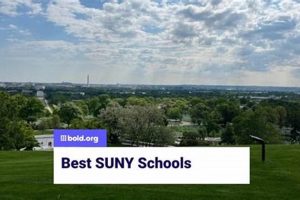 Top SUNY Schools for Psychology Degrees | Best Schools in America: Top Public & Private Options
