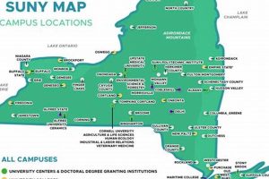 Top SUNY Schools for Physical Therapy Programs Best Schools in America: Top Public & Private Options Top SUNY Schools for Physical Therapy Programs | Best Schools in America: Top Public & Private Options