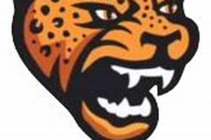 Jacksonville HS Football: Red Devil Pride | Best Schools in America: Top Public & Private Options