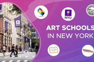 Top 10 Best Art Schools in NYC Guide Best Schools in America: Top Public & Private Options Top 10 Best Art Schools in NYC Guide | Best Schools in America: Top Public & Private Options