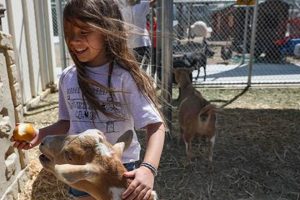 Discover Hoggard Elementary's Unique Animal Lab | Best Schools in America: Top Public & Private Options