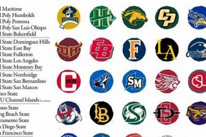 Top California State University (CSU) Schools | Best Schools in America: Top Public & Private Options