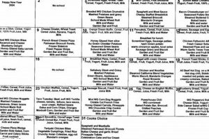 Check Beaufort County Schools Lunch Menu Now! | Best Schools in America: Top Public & Private Options
