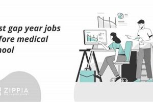 Top Gap Year Jobs for Medical School Success | Best Schools in America: Top Public & Private Options