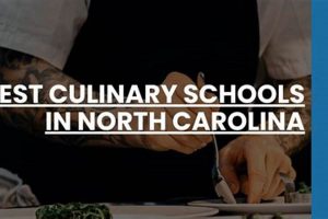 Top Culinary Schools in NC: 2024 Guide | Best Schools in America: Top Public & Private Options
