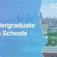 Top Affordable Business Schools for Undergrads | Best Schools in America: Top Public & Private Options
