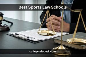 Top Law Schools for Sports Law Programs Best Schools in America: Top Public & Private Options Top Law Schools for Sports Law Programs | Best Schools in America: Top Public & Private Options