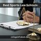Top Law Schools for Sports Law Programs | Best Schools in America: Top Public & Private Options