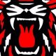 Rabun County High School Football: A Legacy of Excellence | Best Schools in America: Top Public & Private Options
