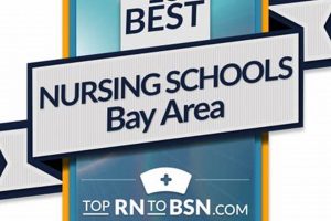 Top Bay Area Nursing Schools: 2024 Guide Best Schools in America: Top Public & Private Options Top Bay Area Nursing Schools: 2024 Guide | Best Schools in America: Top Public & Private Options