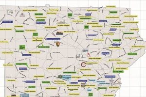 Top Magnet Schools in Cobb County, GA | Best Schools in America: Top Public & Private Options