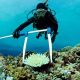 Top 10 Best Marine Biology Schools & Programs | Best Schools in America: Top Public & Private Options