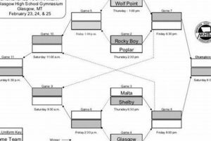 Montana HS Basketball Brackets & Playoffs | Best Schools in America: Top Public & Private Options