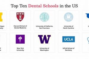 Top 10 Best Schools for Dentistry 2024 | Best Schools in America: Top Public & Private Options