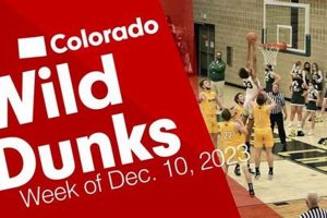 Top Colorado High School Basketball Rankings 2024 | Best Schools in America: Top Public & Private Options