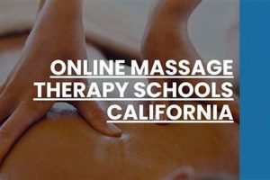 Top California Massage Therapy Schools & Programs | Best Schools in America: Top Public & Private Options