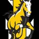 Merritt Island HS Football: 2024 Schedule & Tickets | Best Schools in America: Top Public & Private Options