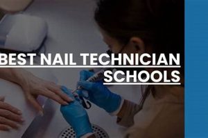 Top 10 Best Nail Schools: 2024 Guide | Best Schools in America: Top Public & Private Options