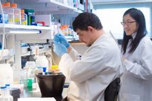 Top Biochemistry Grad Schools: Programs & Careers | Best Schools in America: Top Public & Private Options