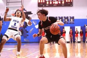 Palo Duro High School Basketball: A Legacy of Excellence | Best Schools in America: Top Public & Private Options