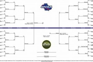 2024 MD High School Basketball Playoffs Guide | Best Schools in America: Top Public & Private Options