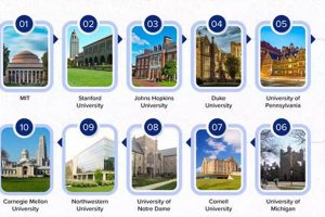 Top 10 Mechanical Engineering Undergraduate Programs | Best Schools in America: Top Public & Private Options