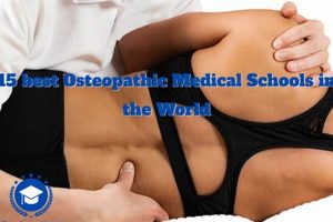 Top 10 Best Osteopathic Medical Schools: 2024 Guide | Best Schools in America: Top Public & Private Options