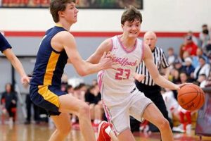 Laingsburg High Basketball: Team News & Scores | Best Schools in America: Top Public & Private Options