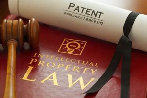 Top 10 Best Patent Law Schools: 2024 Guide | Best Schools in America: Top Public & Private Options