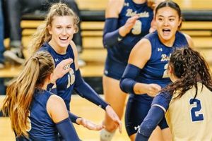 Check MT High School Volleyball Scores & Stats | Best Schools in America: Top Public & Private Options