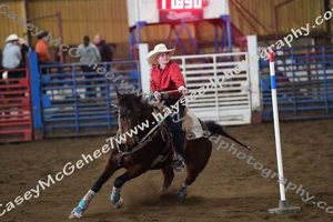 District 7 High School Rodeo: Thrills & Skills | Best Schools in America: Top Public & Private Options