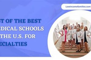 Top Medical Schools for Primary Care: 2024 Guide | Best Schools in America: Top Public & Private Options