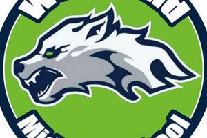 Go Woodland High Basketball: Team Spirit! | Best Schools in America: Top Public & Private Options