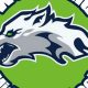 Go Woodland High Basketball: Team Spirit! | Best Schools in America: Top Public & Private Options