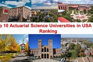 Top 10 Best Actuary Schools: 2024 Guide | Best Schools in America: Top Public & Private Options
