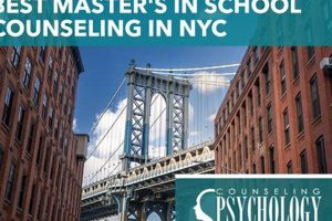 Top School Counseling Master's Programs & Degrees | Best Schools in America: Top Public & Private Options