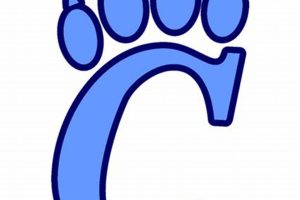 Chesapeake HS Football: A Thrilling Season | Best Schools in America: Top Public & Private Options