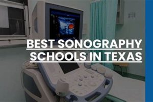 Top Sonography Schools in Texas: 2024 Guide | Best Schools in America: Top Public & Private Options
