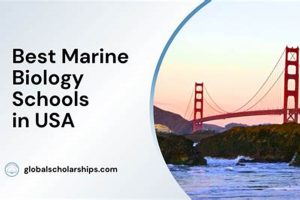 Top US Marine Biology Schools & Programs | Best Schools in America: Top Public & Private Options
