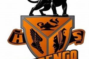 Marengo High School Football: Home of the Panthers | Best Schools in America: Top Public & Private Options