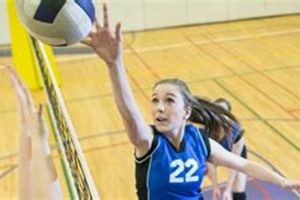 Top D3 Volleyball Schools: A 2024 Guide | Best Schools in America: Top Public & Private Options