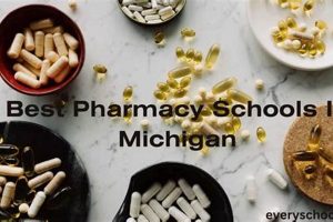 Top Pharmacy Schools in Michigan 2024 Best Schools in America: Top Public & Private Options Top Pharmacy Schools in Michigan 2024 | Best Schools in America: Top Public & Private Options